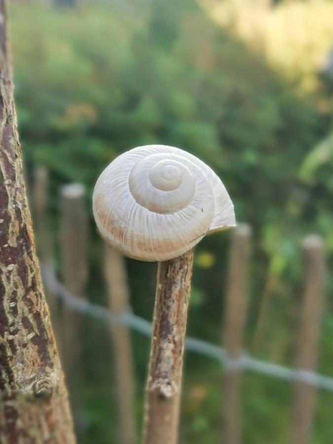 Ferienglueck An Der Nordsee Buche Deine Erdgeschoss-Ferienwohnung Mit Kamin Terrasse Und Eingezaeuntem Garten Fuer Unvergessliche Auszeiten Altfunnixsiel Екстер'єр фото